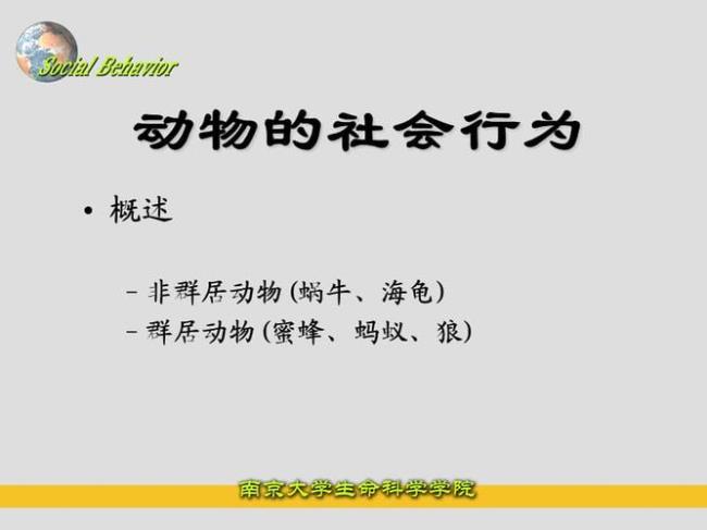 一种只对社会负责的动物