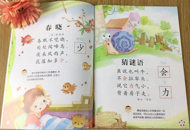 幼儿园识字课话术