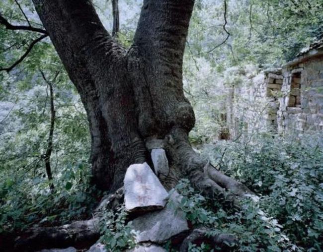 荒村真的存在吗