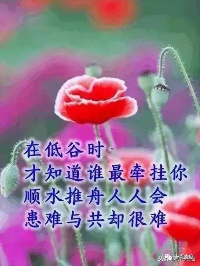 友谊长长久久的数字