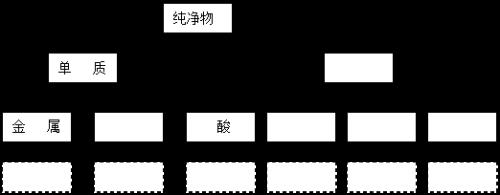 初中化学的白色固体有哪些