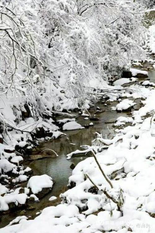 雪上空留鸿爪印原文