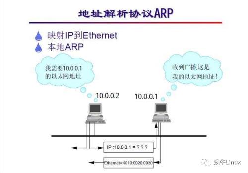 ARP工作在哪一层