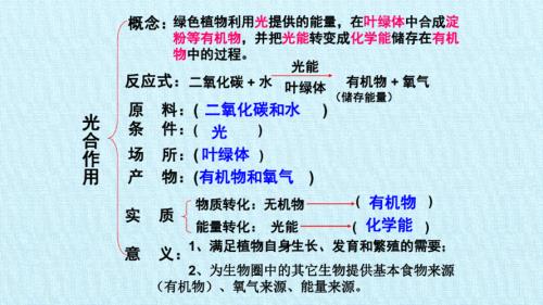 不是绿色植物会有光合作用吗