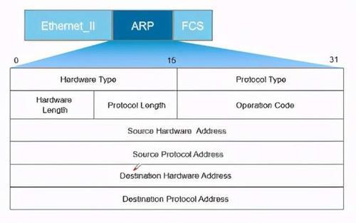 arp协议规范