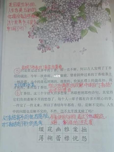 丁香结第四自然段仿写玫瑰