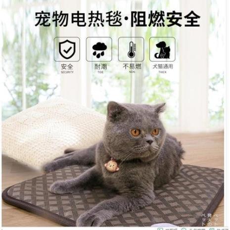 刚出生的猫咪可以用电热毯吗