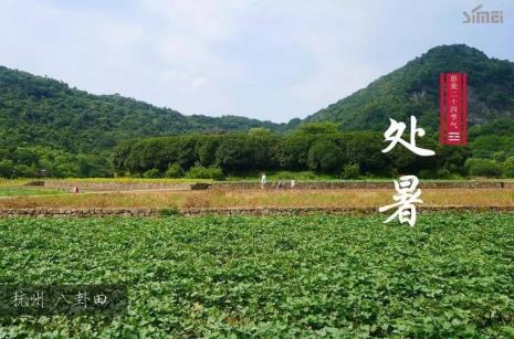 处暑后还适合穿夏运动鞋吗