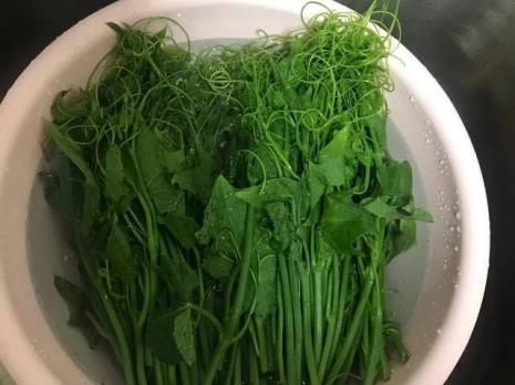 龙须菜可以跟菠菜一起拌菜吗