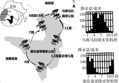 为什么巴西热带草原气候不迁徙