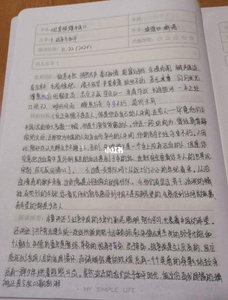 红星照耀中国第二章概括50字