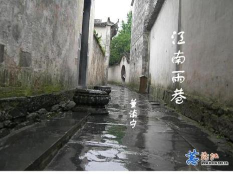 雨港阅读感悟20字