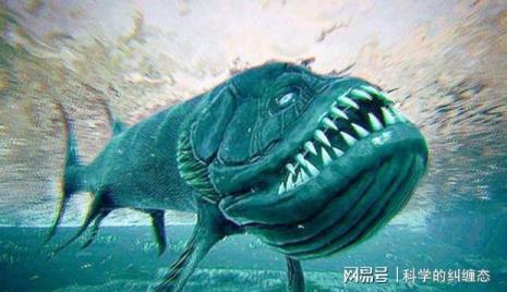 丘八是什么生物