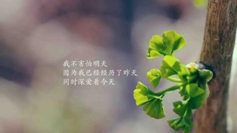 保持纯真的名言警句