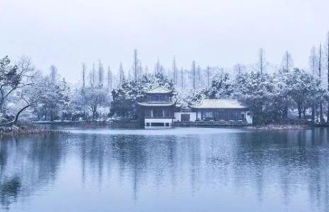 独有凝雨姿全诗