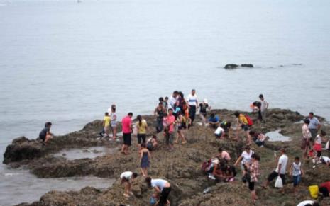 日照旅游赶海哪些地方比较适合