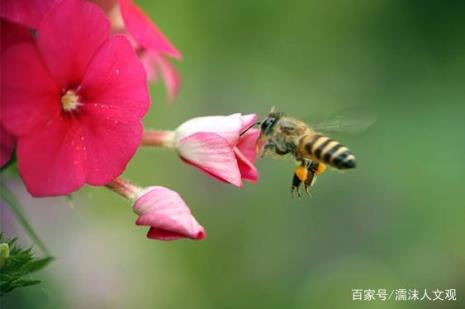 默默无闻被更多人知道的诗句