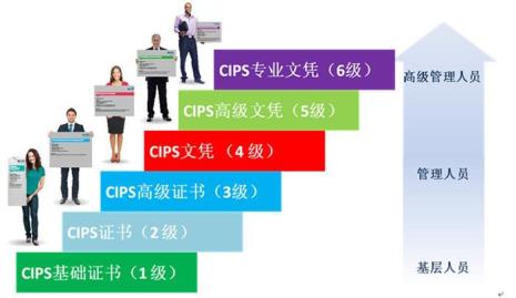 cips证书怎么报考