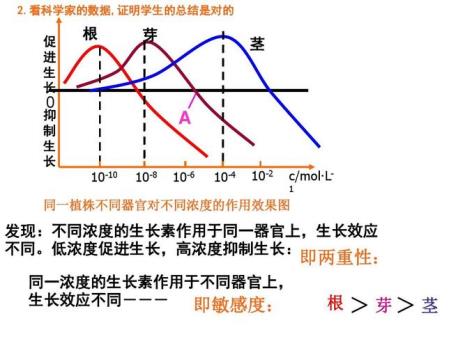 人的生长素和植物生长素区别