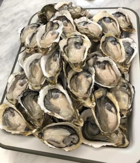 oyster除了牡蛎还有什么意思