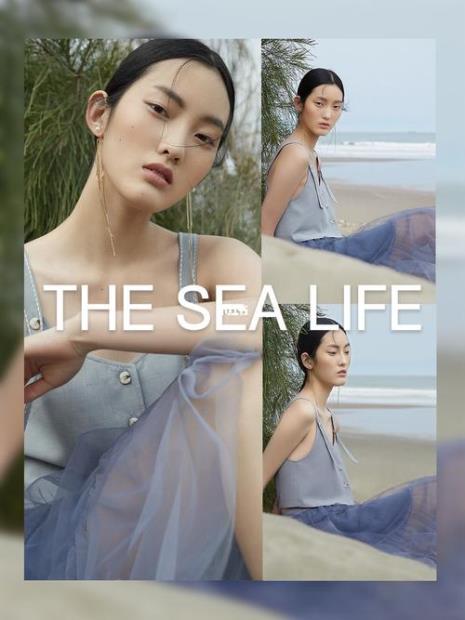 the sea life 品牌创始人