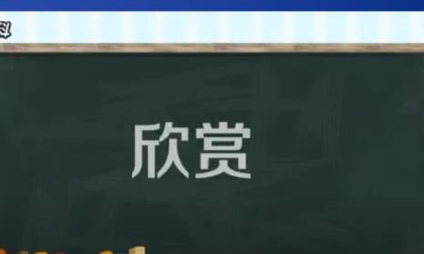 业务能力不敢恭维是什么意思