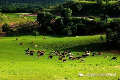 张家口去塞罕坝旅游攻略