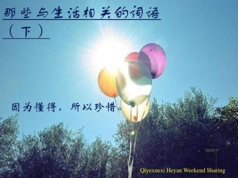 qy什么词语