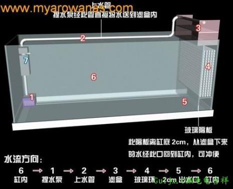 鱼缸浑水用气举好还是反气举好