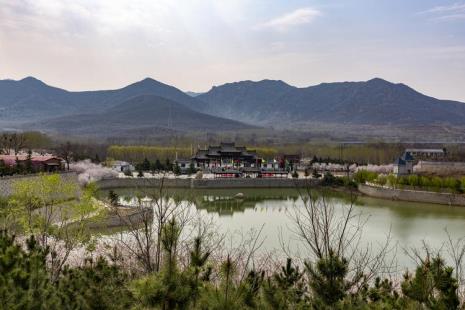 想知道: 滨州市邹平樱花山在哪