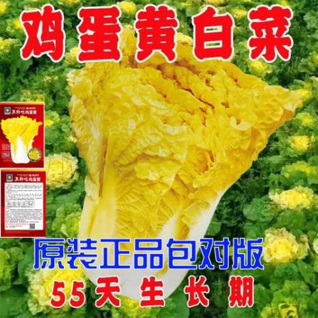 黄白菜升糖指数