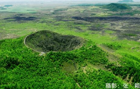 五大连池植物