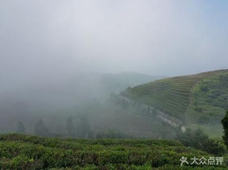 羊岩山位于第几高峰