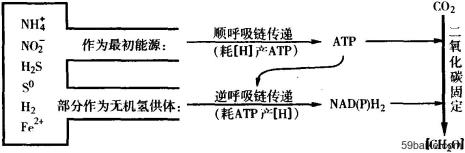 既能产生atp又能产生还原氢的场所