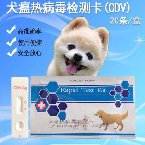 狗狗得犬瘟打血清有用吗