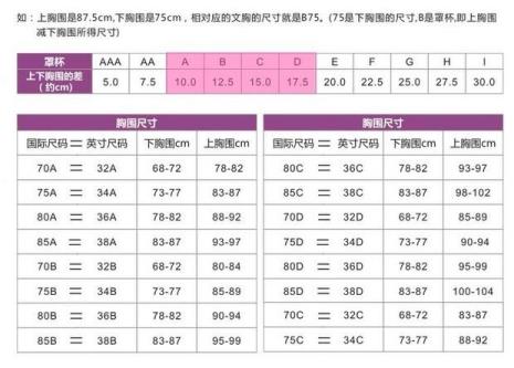 买内衣的尺码是什么意思