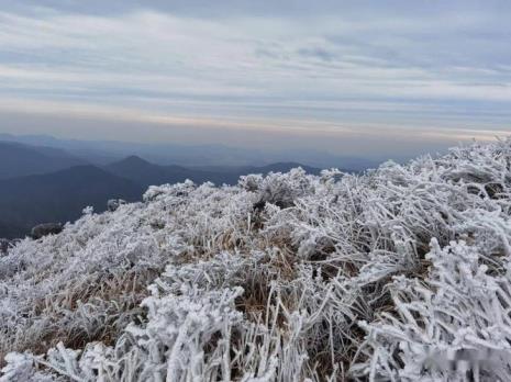 龙岩哪一年下雪