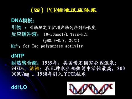 pcr的体系都是一样的吗