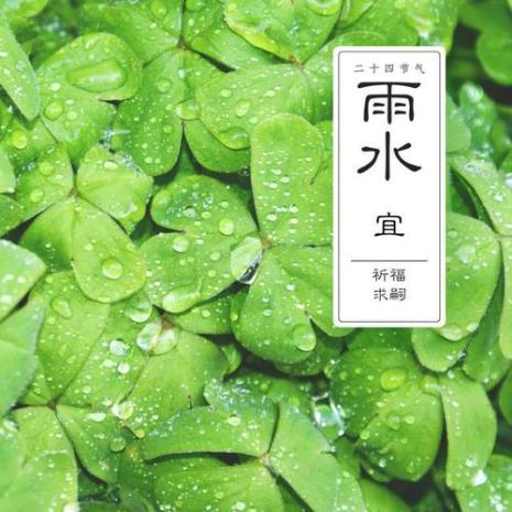 雨水后的节气是什么