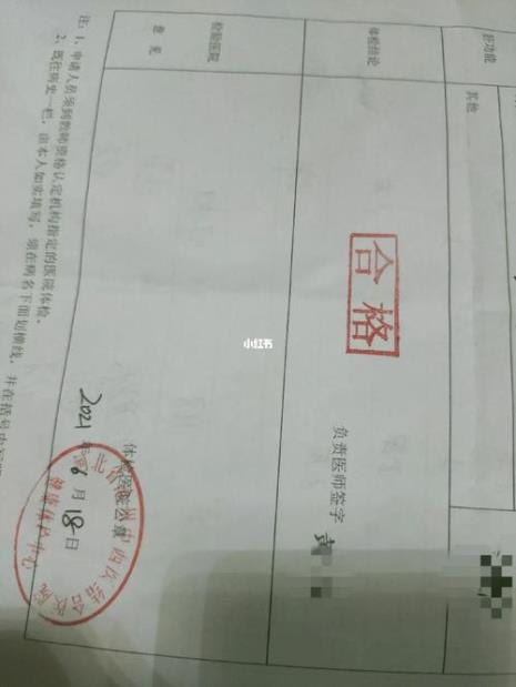 教资体检结果怎么查询