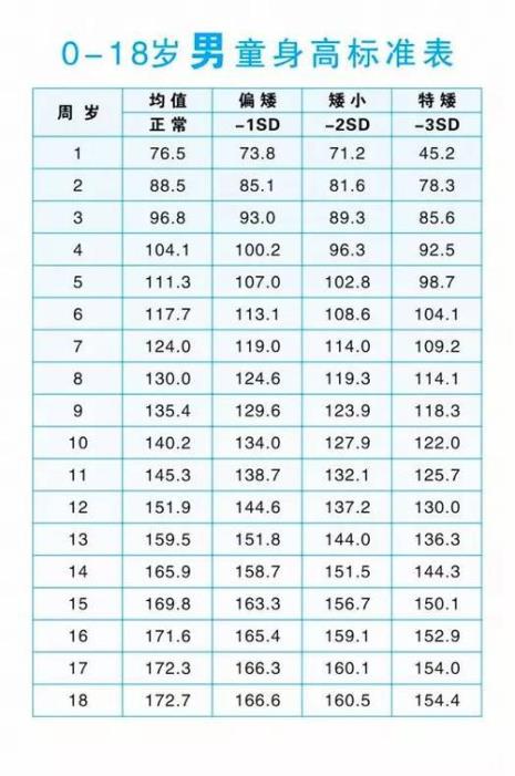 身高166摸高标准