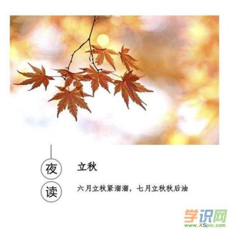 秋字的寓意是什么