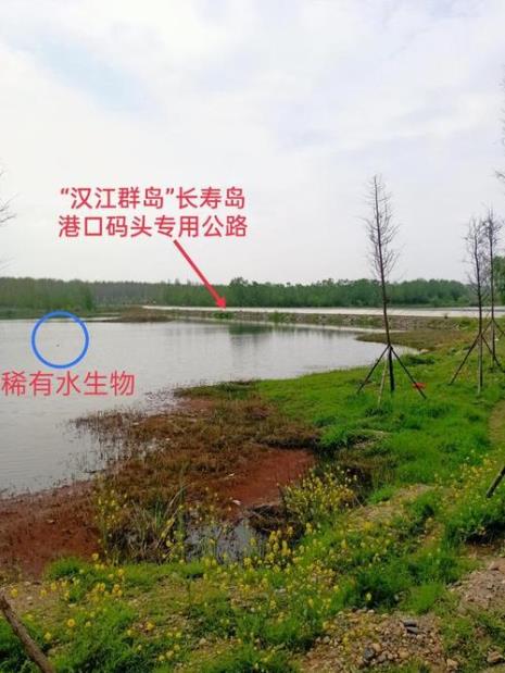 湖北襄阳长寿岛什么时候开放