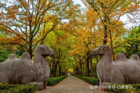 12月南京哪里风景最美