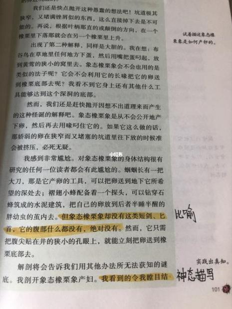 昆虫记橡栗象族群主要内容