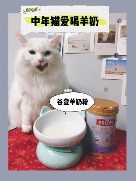 猫咪喝羊奶是喝温的还是凉的