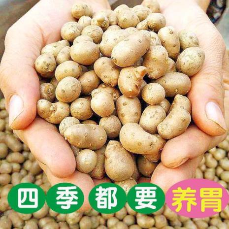 大山药豆是什么品种