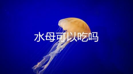 水母不喂能活几天