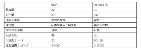 nt是哪个国家缩写