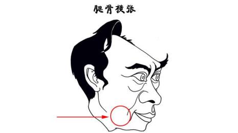 鹞眼人长什么样